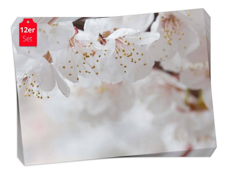 Platzset, Tischset Frühling, Ostern & Blumen - Weiße Blüten, Tischsetmacher, (aus Naturpapier in Aufbewahrungsmappe, 12-St., 44 x 32 cm / weiß), Made in Germany von Tischsetmacher