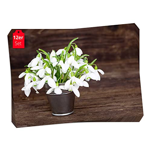 Tischset, Platzset - Schneeglöckchen in Topf - 12 Stück Made in Germany, 44x32cm aus speziellem Naturpapier in Aufbewahrungsmappe – die besondere Tischdeko für Frühling, Ostern & Blumen von Tischsetmacher