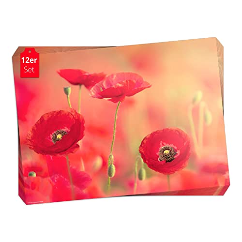 Tischset, Platzset - Rote Mohnblumen - 12 Stück Made in Germany, 44x32cm aus speziellem Naturpapier in Aufbewahrungsmappe – die besondere Tischdeko für Frühling, Ostern & Blumen von Tischsetmacher