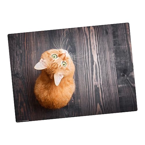 Tischset | Platzset abwaschbar – Orange Katze – 44 x 32 cm – aus hochwertigem Vinyl von Tischsetmacher