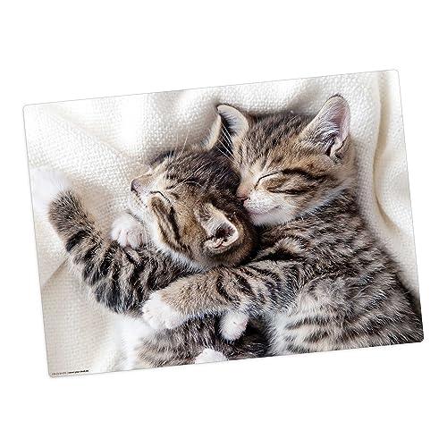 Tischset | Platzset abwaschbar – schmusende Kätzchen – 44 x 32 cm – aus hochwertigem Vinyl Tischset | Platzset abwaschbar – schmusende Kätzchen – 44 x 32 cm – aus hochwertigem Vinyl von Tischsetmacher