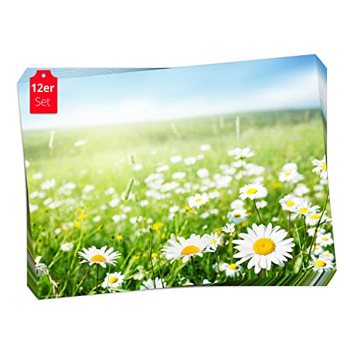 Tischset, Platzset - Wiese mit Gänseblümchen - 12 Stück Made in Germany, 44x32cm aus speziellem Naturpapier in Aufbewahrungsmappe – die besondere Tischdeko für Frühling, Ostern & Blumen von Tischsetmacher