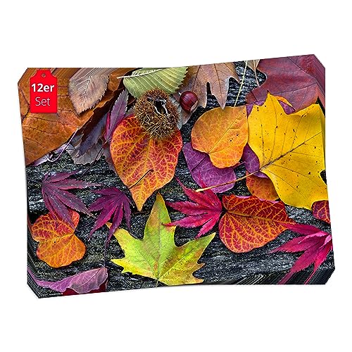 Tischsets I Platzsets Herbst Buntes Herbstlaub - 12 Stück in hochwertiger Aufbewahrungsmappe von Tischsetmacher