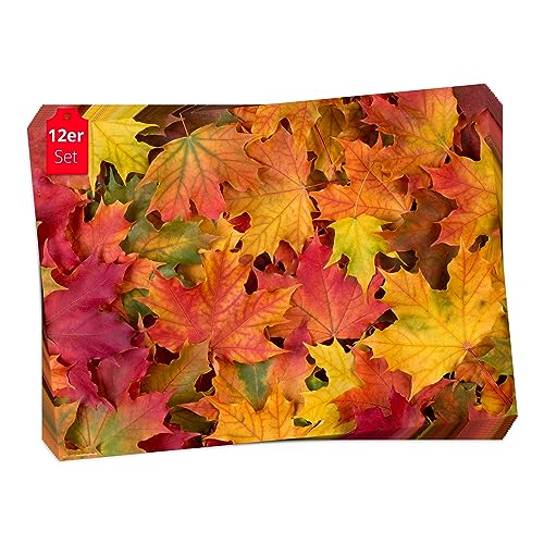 Tischsets I Platzsets Herbst Herbstlaub bunt - 12 Stück in hochwertiger Aufbewahrungsmappe von Tischsetmacher