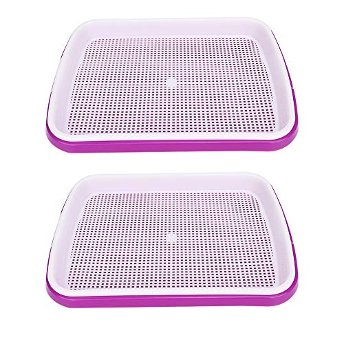 2 Stück Sprouting Tablett Doppelte Schicht Hydroponik Blume Pflanze Saatgut Keimung Tablett mit Dichten Kleine Löcher Indoor Gardening Seed Sprout Nursery Box (Lila) von Tissting