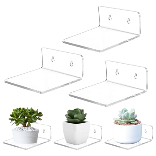 3 Stück Schwebendes Regal Wandhalterung 10 x 10 cm Kleine Transparent Acryl Wandregale mit Schraube, Spielzeug Organizer Display Rack Bücherregal für Wohnzimmer Schlafzimmer Badezimmer von Tissting
