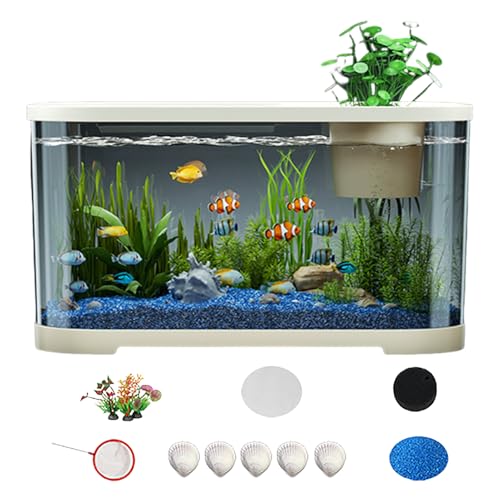 Tisujune Aquarium Fischbecken - Aquarium-Set | Komplettset Mit Zubehör Für Zimmer Schreibtisch Deko Quallen Anfänger Erwachsene Kampffisch Liebhaber Tisujune Aquarium Fischbecken - Aquarium-Set | Komplettset Mit Zubehör Für Zimmer Schreibtisch Deko Quallen Anfänger Erwachsene Kampffisch Liebhaber von Tisujune