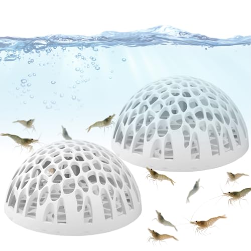 Tisujune Garnelenversteck - Versteck für Kampffische im Aquarium - 2 Stück Garnelenversteck Für Kleinstlebewesen Aquarienliebhaber Heimbüro Fischtank Tisujune Garnelenversteck - Versteck für Kampffische im Aquarium - 2 Stück Garnelenversteck Für Kleinstlebewesen Aquarienliebhaber Heimbüro Fischtank von Tisujune
