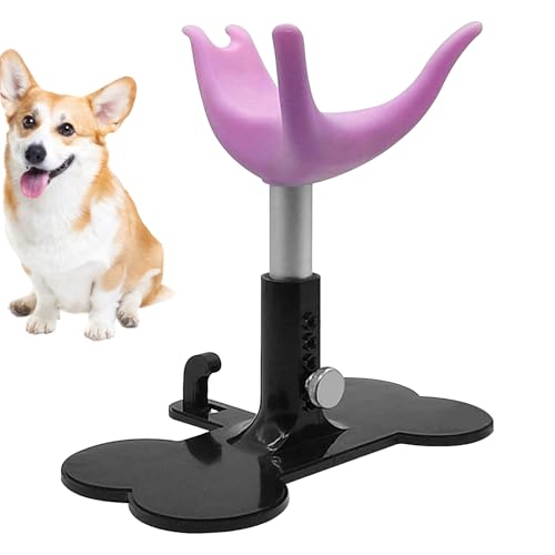 Tisujune Hundepflegestuhl | Stehhilfe Zum Baden,Höhenverstellbare Assistenzleiter Zum Baden Trimmen Duschen Und Pflegen Von Hunden von Tisujune