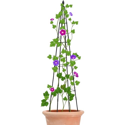Tisujune Rankgitter Für Zimmerpflanzen - Pflanzenranken Stützgitter Mit Draht,Pflanzengitter Für Blumen Outdoor Rankgestell Zimmerpflanzen Efeu Terrasse Rasen Garten Tisujune Rankgitter Für Zimmerpflanzen - Pflanzenranken Stützgitter Mit Draht,Pflanzengitter Für Blumen Outdoor Rankgestell Zimmerpflanzen Efeu Terrasse Rasen Garten von Tisujune