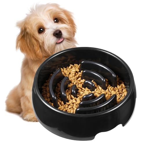 Tisujune Slow Feeder Hundefutter Napf, Anti-Verschlucken Napf Für Hunde Mit Sicherheitsfunktion, Verbessertes Fressverhalten Durch Verlangsamte Fütterung Für Alle Hunderassen Tisujune Slow Feeder Hundefutter Napf, Anti-Verschlucken Napf Für Hunde Mit Sicherheitsfunktion, Verbessertes Fressverhalten Durch Verlangsamte Fütterung Für Alle Hunderassen von Tisujune