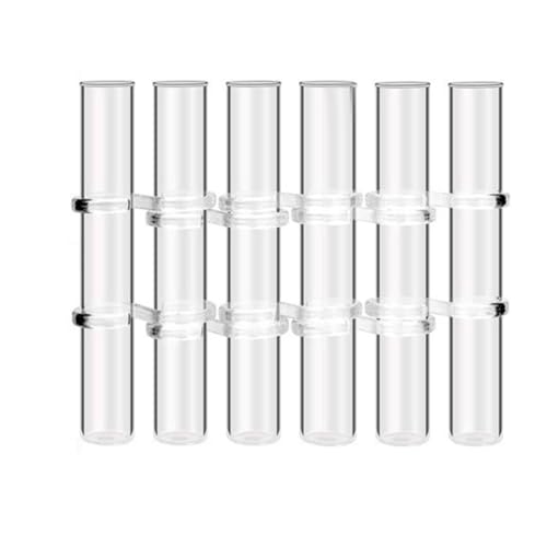 Tixqeaif 6 Stück Blumenvase mit Scharnier, Reagenzglas Aus Klarem Glas, Hängender Blumenhalter für Heimdekoration, Langlebig, Einfach zu Bedienen, S von Tixqeaif