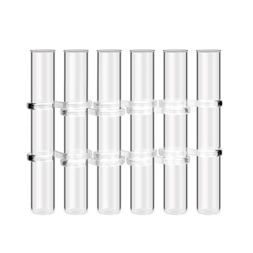 Tixqeaif 6 Stück Blumenvase mit Scharnier, Reagenzglas Aus Klarem Glas, Hängender Blumenhalter für Heimdekoration, Langlebig, L von Tixqeaif