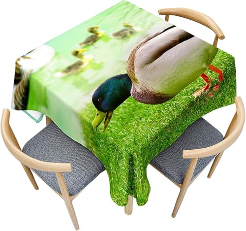 Tischdecke Outdoor Ente Tischdecken Abwaschbar 3D Baumtiere Tischdecke Wetterfest Wasserdicht für Party Biertisch, 140x260 cm Q.P2049 Tischdecke Outdoor Ente Tischdecken Abwaschbar 3D Baumtiere Tischdecke Wetterfest Wasserdicht für Party Biertisch, 140x260 cm Q.P2049 von Tizhweqo