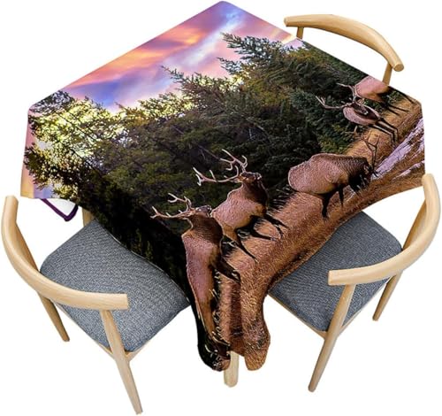 Tischdecke Outdoor Hirsch Tischdecken Abwaschbar 3D Wald Tischdecke Wetterfest Wasserdicht für Party Biertisch, 140x240 cm Q.P1788 Tischdecke Outdoor Hirsch Tischdecken Abwaschbar 3D Wald Tischdecke Wetterfest Wasserdicht für Party Biertisch, 140x240 cm Q.P1788 von Tizhweqo