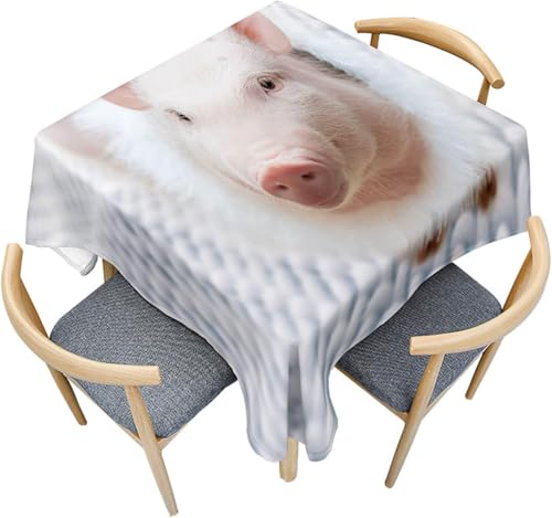Tischdecke Outdoor Schwein Tischdecken Abwaschbar 3D Niedliche Tiere Tischdecke Wetterfest Wasserdicht für Party Biertisch, 140x260 cm Q.P1739 Tischdecke Outdoor Schwein Tischdecken Abwaschbar 3D Niedliche Tiere Tischdecke Wetterfest Wasserdicht für Party Biertisch, 140x260 cm Q.P1739 von Tizhweqo