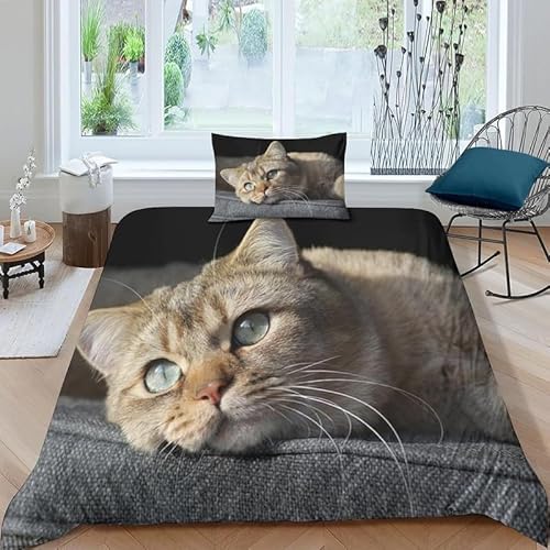 Tizhweqo Katze Bettwäsche 135x200 Asiatische Katze Bettwäsche Set Weiche Mikrofaser 3D Druck Tier Bettbezug Set mit Reißverschluss Bettbezüge und 2 Kissenbezug 80x80 cm A7237 von Tizhweqo