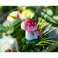 3 cm Miniatur Fairytiny Pilze Fee Gartenzubehör & Zubehör Terrarium Figuren Pink von TizzleByTizzle
