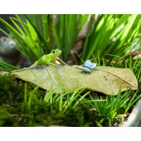 Miniatur-Fee Kleiner Frosch Mit Schmetterling Auf Blatt-Tierfiguren-Fee-Gartenbedarf & Zubehör-Terrarium-Figuren von TizzleByTizzle