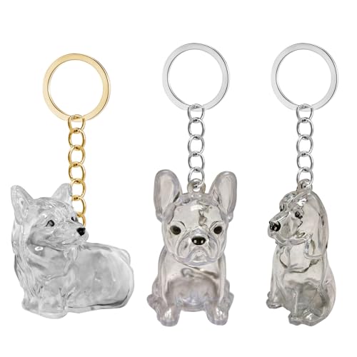 Tkidplw Transparente Aufbewahrungsbox für Hundebesitzer, Mini-Haar-Aufbewahrungsbox für Hundebesitzer, wasserdichtes Design, sentimentales Reisegeschenk, klares Tierhaar-Aufbewahrungsbehälter Tkidplw Transparente Aufbewahrungsbox für Hundebesitzer, Mini-Haar-Aufbewahrungsbox für Hundebesitzer, wasserdichtes Design, sentimentales Reisegeschenk, klares Tierhaar-Aufbewahrungsbehälter von Tkidplw