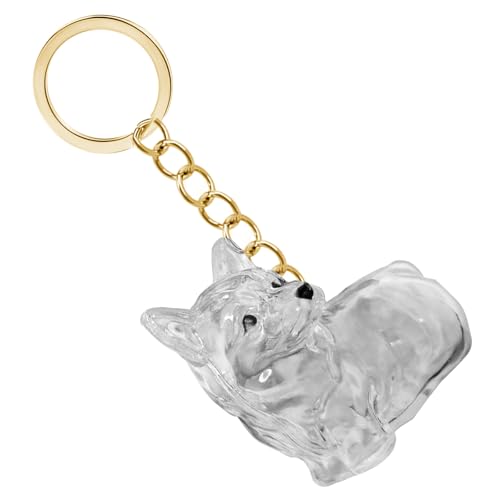 Tkidplw Transparente Aufbewahrungsbox für Hundebesitzer, Mini-Haar-Aufbewahrungsbox für Hundebesitzer, wasserdichtes Design, sentimentales Reisegeschenk, klares Tierhaar-Aufbewahrungsbehälter Tkidplw Transparente Aufbewahrungsbox für Hundebesitzer, Mini-Haar-Aufbewahrungsbox für Hundebesitzer, wasserdichtes Design, sentimentales Reisegeschenk, klares Tierhaar-Aufbewahrungsbehälter von Tkidplw