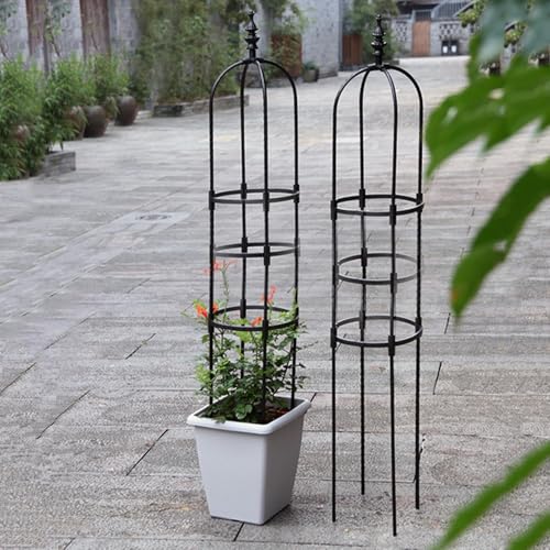 Obelisk Rankgitter | Gartenspalier für Kletterpflanzen | hochragende Pflanzenunterstützung | Rostfreier Obelisk Schwerer Pflanzkäfig | Gartendekoration Pflanzengitter für Outdoor Indoor Unterstützung Obelisk Rankgitter | Gartenspalier für Kletterpflanzen | hochragende Pflanzenunterstützung | Rostfreier Obelisk Schwerer Pflanzkäfig | Gartendekoration Pflanzengitter für Outdoor Indoor Unterstützung von Tktouci