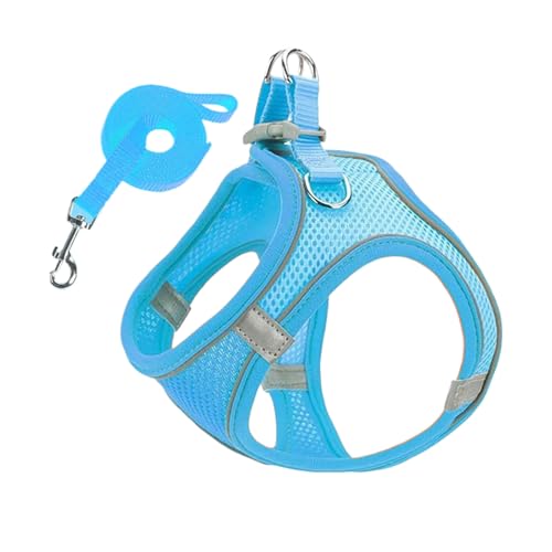Tktouci Geschirr und Leinen Set für kleine Hunde - Anti-Zug Geschirr Mit Leine,Reflektierende Welpen Kätzchen Katzengeschirr für Autoreisen Training Tierarztbesuche Outdoor Nachtspaziergänge Tktouci Geschirr und Leinen Set für kleine Hunde - Anti-Zug Geschirr Mit Leine,Reflektierende Welpen Kätzchen Katzengeschirr für Autoreisen Training Tierarztbesuche Outdoor Nachtspaziergänge von Tktouci
