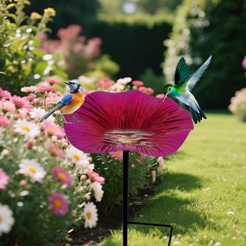 Tktouci Vogelbad Ständer - Vogelfutterstation mit Futterschale Stange und Ständer - Wasserdichtes Vogel-Bad In Blumenform Als Gartendeko Mit Metallstab Für Garten Terrasse Tktouci Vogelbad Ständer - Vogelfutterstation mit Futterschale Stange und Ständer - Wasserdichtes Vogel-Bad In Blumenform Als Gartendeko Mit Metallstab Für Garten Terrasse von Tktouci