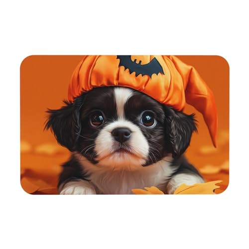 TlevadArt Fußabtreter Halloween Kürbis Welpe, 40x60cm Fußmatte rutschfest, Kieselalgenschlamm Material, Leicht Zu Reinigen, Schaffen Sie Eine Festliche Atmosphäre TlevadArt Fußabtreter Halloween Kürbis Welpe, 40x60cm Fußmatte rutschfest, Kieselalgenschlamm Material, Leicht Zu Reinigen, Schaffen Sie Eine Festliche Atmosphäre von TlevadArt