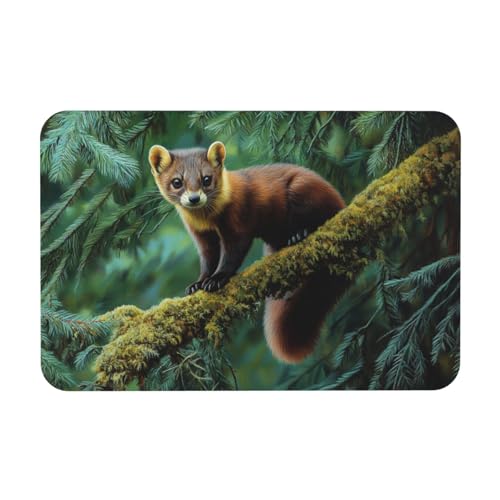 TlevadArt Fußabtreter Wald Baummarder, rutschfeste Und Waschbare Fußmatte, Mit Gummirücken, Kieselalgenschlamm Material, Für Drinnen Und Draußen, 40x60cm TlevadArt Fußabtreter Wald Baummarder, rutschfeste Und Waschbare Fußmatte, Mit Gummirücken, Kieselalgenschlamm Material, Für Drinnen Und Draußen, 40x60cm von TlevadArt