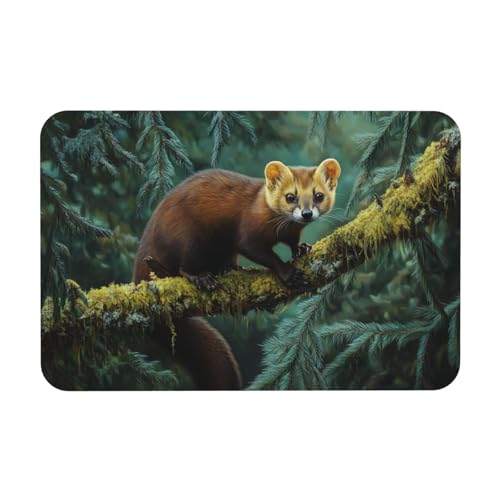 TlevadArt Fußmatte Innen 40x60cm, Wald Baummarder Fußmatten, rutschfest Fussmatte, Kieselalgenschlamm Material, Leicht Zu Reinigen, Für Innen- Und Außenbereich TlevadArt Fußmatte Innen 40x60cm, Wald Baummarder Fußmatten, rutschfest Fussmatte, Kieselalgenschlamm Material, Leicht Zu Reinigen, Für Innen- Und Außenbereich von TlevadArt