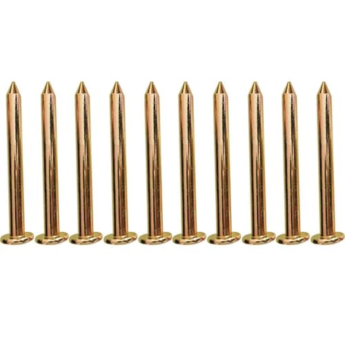 10 Teile Vermessung Von Stahlnägeln Metall Vermessungsmarkierungen 3/5/7/8/10 Cm Kompaktgrößengrenzenmessung Messung 10 Teile Vermessung Von Stahlnägeln Metall Vermessungsmarkierungen 3/5/7/8/10 Cm Kompaktgrößengrenzenmessung Messung von Tmboryuu