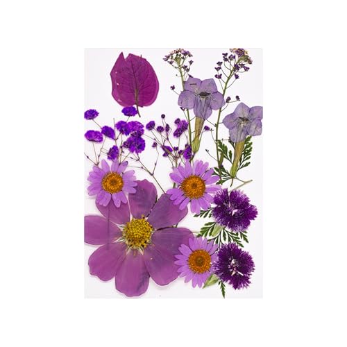 15pcs Natürliche Trockene Blütenblätter Für Kunsthandwerk Scrapbooking Kerzenschmuck Herstellen Gepresste Getrocknete Für Harzharzfüller 15pcs Natürliche Trockene Blütenblätter Für Kunsthandwerk Scrapbooking Kerzenschmuck Herstellen Gepresste Getrocknete Für Harzharzfüller von Tmboryuu