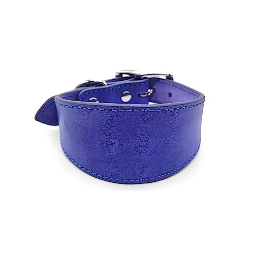 Tmboryuu Leathers Dogs Halsband Weiche Gepolsterte Kragen Für Whippets Salukis Sichthunde Hunde Verstellbare Große Rassen Liefern Whippets Rüscher Sightheunds von Tmboryuu