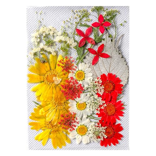 Multiporpuse Echte Trockene Blumen Set Dekoration Hell Getrocknetes Blumenpack Für Kreative Handwerk Und Kunstprojekte von Tmboryuu