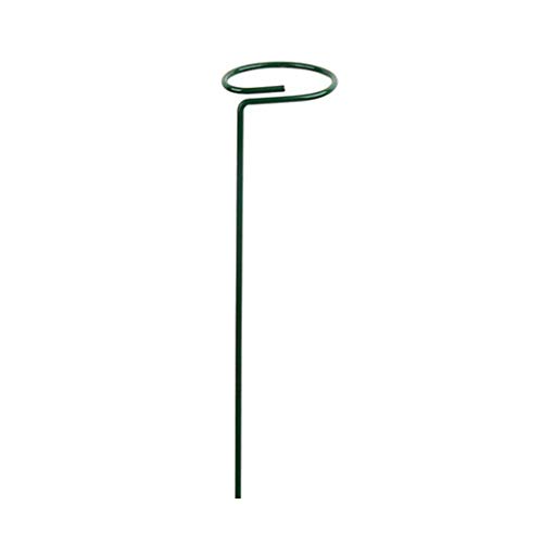 Tmboryuu Pflanzenstöge Käfigstütze Ringe Innen des Außenbalkons Bonsai Pflanzen Für Gartengarten Obst Obst Wachstum Metallgartenunterstützung Tmboryuu Pflanzenstöge Käfigstütze Ringe Innen des Außenbalkons Bonsai Pflanzen Für Gartengarten Obst Obst Wachstum Metallgartenunterstützung von Tmboryuu