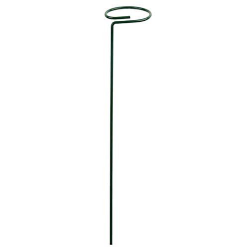Tmboryuu Pflanzenstöge Käfigstütze Ringe Innen des Außenbalkons Bonsai Pflanzen Für Gartengarten Obst Obst Wachstum Metallgartenunterstützung von Tmboryuu