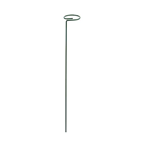 Tmboryuu Pflanzenstöge Käfigstütze Ringe Innen des Außenbalkons Bonsai Pflanzen Für Gartengarten Obst Obst Wachstum Metallgartenunterstützung Tmboryuu Pflanzenstöge Käfigstütze Ringe Innen des Außenbalkons Bonsai Pflanzen Für Gartengarten Obst Obst Wachstum Metallgartenunterstützung von Tmboryuu