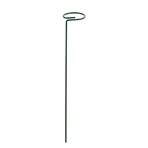 Tmboryuu Pflanzenstöge Käfigstütze Ringe Innen des Außenbalkons Bonsai Pflanzen Für Gartengarten Obst Obst Wachstum Metallgartenunterstützung Tmboryuu Pflanzenstöge Käfigstütze Ringe Innen des Außenbalkons Bonsai Pflanzen Für Gartengarten Obst Obst Wachstum Metallgartenunterstützung von Tmboryuu