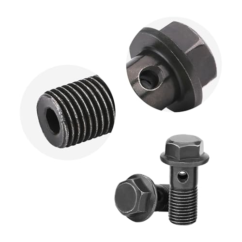 Build Premium, mehrere Optionen, sichere Verbindung – 5 Bolzen, 10 Unterlegscheiben, M10 1,25 mm und 1,0 mm für Bremssattel, Kupplung, Energienspeiche mit Muttern (M10 × 1,25 mm) von Tnfeeon