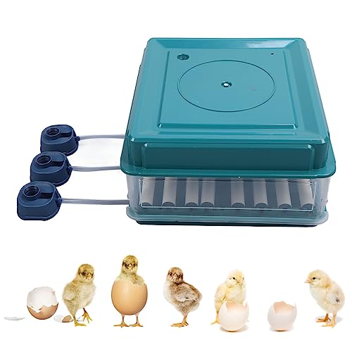 Inkubator, Vollautomatischer Hühnereier-Inkubator, 9–35 Eier, Inkubator mit Effizienter LED-Beleuchtung, Brutmaschine für Hühner, Gänse, Enten, Tauben, Wachteln, Vögel (EU-Stecker 220 V 48 Eier) von Tnfeeon