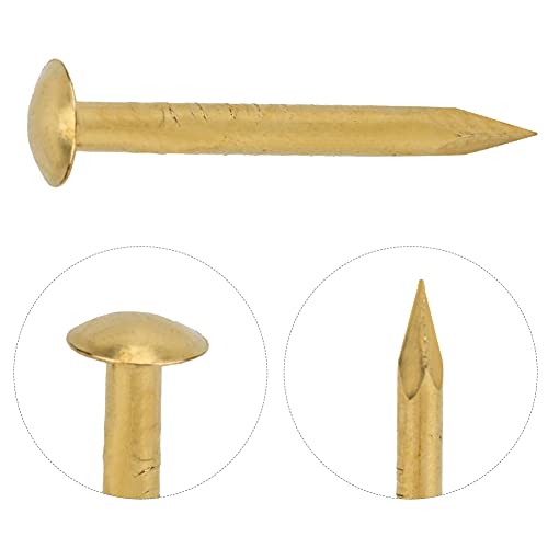 Tnfeeon 100 Stück Messing Runde Kopf Nägel Vintage DIY Craft Befestigungs Elemente 0,4 0,6 0,7 Zoll Dekorative Hardware für Bastel Box Bild Hängend (10mm lang) von Tnfeeon