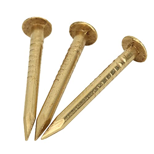 Tnfeeon 100 Stück Messing Runde Kopf Nägel Vintage DIY Craft Befestigungs Elemente 0,4 0,6 0,7 Zoll Dekorative Hardware für Bastel Box Bild Hängend (18mm lang) von Tnfeeon