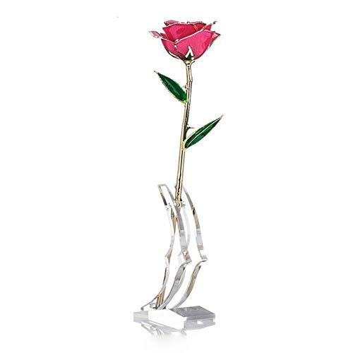 Tnfeeon 24 Karat Gold Rose mit Langem Stiel in Geschenkbox Pink Getaucht von Tnfeeon