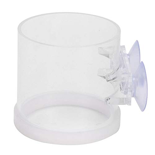 Tnfeeon Acryl -Aqarium -Fischfuttermittel mit Saugbecher, Transparenter Fisch Fütterungsring für Aquariumtank, Wesentlich für Fischküste Wesentlich Tnfeeon Acryl -Aqarium -Fischfuttermittel mit Saugbecher, Transparenter Fisch Fütterungsring für Aquariumtank, Wesentlich für Fischküste Wesentlich von Tnfeeon