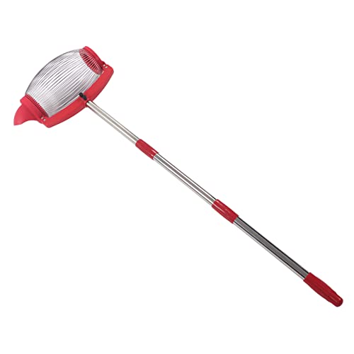 Tnfeeon Effizientes Nusssammler -Werkzeug mit Einstellbarem Langem Griff - Arbeitssparpekannuss Walnuss Kastanien Golf Picker Sammler (Seitlich gießen) von Tnfeeon