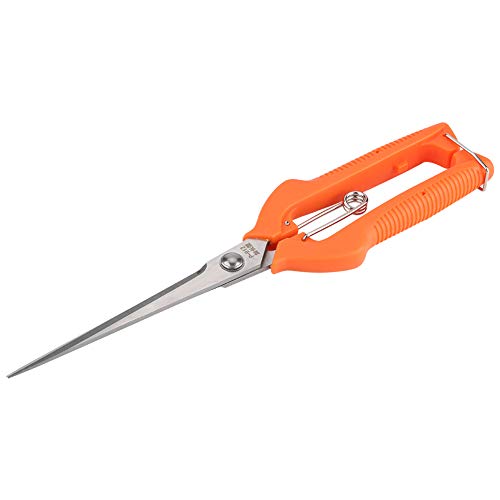Tnfeeon Home Tanzkutter Cutter Griff Ergonomisch - Geeignet Zum Beschneiden des Gartens - für Anfänger der Gartenarbeit von Tnfeeon