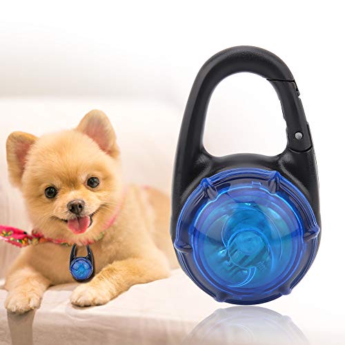 Tnfeeon LED-Lichtanhänger für Hundehalsband, Leuchtender Hund, Leuchtendes Nachtlicht, Sicherheits-Hundeanhänger für die Sichtbarkeit und Sicherheit Ihres Hundes (Blau) von Tnfeeon
