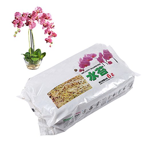 Tnfeeon Natürliche Sphagnum Moss Potting Mix, Sphagnum Moss Getrocknete Orchidee Sphagnum Moss Fleischfressendes Pflanzenmoos 6L für Blumen Blumentopf Reptilien Tnfeeon Natürliche Sphagnum Moss Potting Mix, Sphagnum Moss Getrocknete Orchidee Sphagnum Moss Fleischfressendes Pflanzenmoos 6L für Blumen Blumentopf Reptilien von Tnfeeon