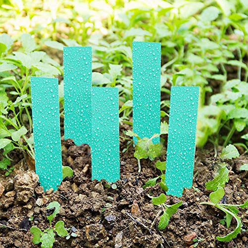 Tnfeeon Wiederverwendbare Plastikpflanzensamen -Kennzeichnungen Topfmarker Weiß Rosa Grüngelb Zur Pflanzidentifizierung, 100 PCs PVC -Samenbezeichnungsmarker für Tabletts und Töpfe (GREEN) von Tnfeeon
